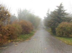 10 градусов тепла и небольшой дождь пообещали синоптики волгоградцам на новой неделе