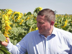 Андрей Бочаров отправил в отставку сразу двух женщин за день