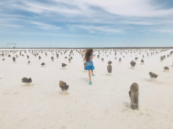 Волгоградское озеро Эльтон вошло в рейтинг «дублей» зарубежных курортов в России