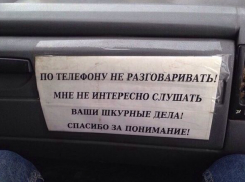 Волгоградки довели маршрутчика «шкурными делами» до введения запретов 
