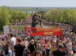 Волгоградцы первыми услышат песню «Бессмертный полк» поэтессы Зеленской
