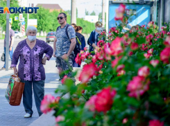 Волгоградская область стала 18-й в России по числу заболевших коронавирусом