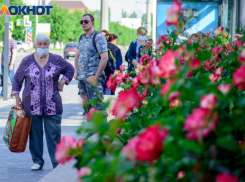 В Волгограде в Жилгородке готовятся продлить троллейбусный маршрут №15а