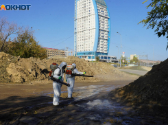 После волгоградского фекального ЧП в Волге нашли патогенные микроорганизмы