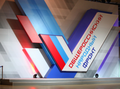 Новых сопредседателей ОНФ в Волгограде объявили вне закона