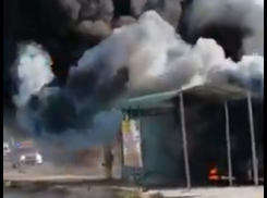 Водитель спас пассажиров: стали известны подробности пожара в автобусе в Волгограде