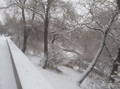 Мороз усилится до -12ºС в Волгоградской области