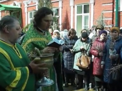 Волгоградцы освятили вербы в храмах Волгограда