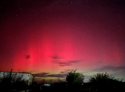 Полярное сияние сфотографировали в Волгоградской области