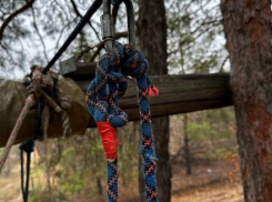 Ребенок сломал восемь позвонков на тарзанке в волгоградском парке 