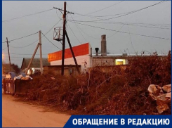 Волгоградцы пожаловались на «Магнит» в окружении свалок и бездомных собак