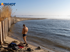 Тропический декабрь: в Волгограде продолжается потепление