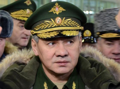 Сергей Шойгу заплатит 100 тысяч рублей доценту из Волгоградского госуниверситета