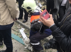 Сотрудник МЧС спас окровавленного кота из-под обломков взорвавшегося дома в Волгограде