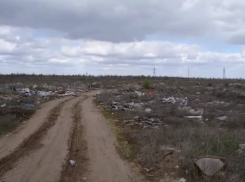 «Мусор там лежит годами»: свалку около памятника военной истории на видео показала волгоградка