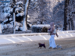 Две погодные угрозы объявлены в Волгоградской области 23 февраля