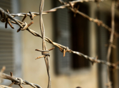 Волгоградцу грозит до 2 лет тюрьмы за ограбление немца