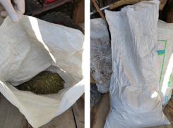 Жителю Волгоградской области грозит до 10 лет колонии за хранение 1,5 кг марихуаны