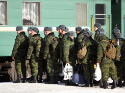 Волгоградцам перекрыли доступ к онлайн-ресурсу по мастерству уклонения от армии