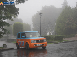 Ночные заморозки сменит волгоградский туман 