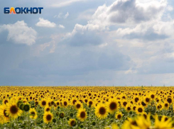 Адское пекло ждет волгоградцев