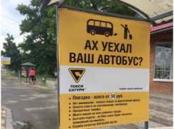 В Волгограде такси «Сатурн» оштрафовали на 150 тысяч за нецензурную рекламу 