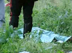 В лесу под Волгоградом найдено тело неопознанной женщины