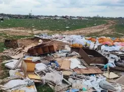 Уголовное дело возбуждено после выдачи многодетным волгоградцам участков с мусорными завалами 