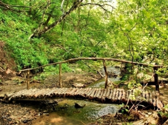 Месяц проведут жители Волгоградской области в природном парке «Щербаковский»