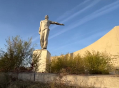 Семья из Белгорода устроила уборку у памятника и пристыдила волгоградских чиновников