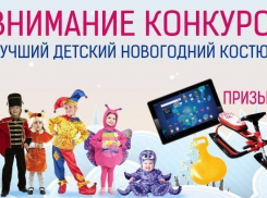 «Блокнот Волгограда» объявляет конкурс на лучший детский новогодний костюм!