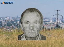 Труп мужчины с обглоданным лицом нашли под Волгоградом