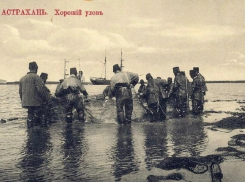 Люди- «скворцы» собирались для работы в Царицыне - объяснение краеведа