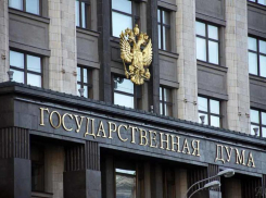 Появились первые желающие стать депутатами Госдумы от Волгограда