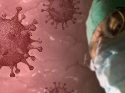 Волгоград в лидерах по приросту числа зараженных коронавирусом