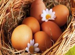 В Волгоградской области стало больше яиц