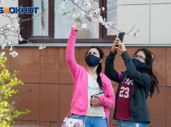 МЧС предупредило волгоградцев о заморозках