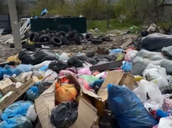 Жгли и ломали: подарок сделали бескультурным волгоградцам