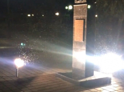 Полчища насекомых сняли на видео в Волгограде 