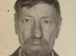Под Волгоградом перед новогодними праздниками пропал 82-летний мужчина в шапке «петушок»