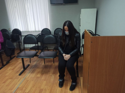 Сестра убийцы из-за конфликта в родительском чате Мелконян обжаловала запрет пользоваться интернетом в Волгограде