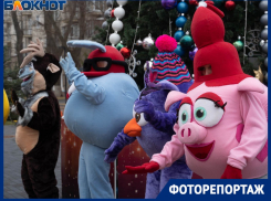 Розовая хрюша замечена в рядах политической элиты Волгограда на открытии «Победы» почти за 1 млрд рублей