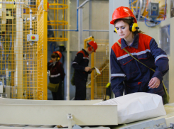 Волгоградским предприятиям предложат господдержку