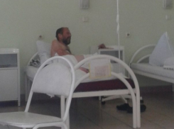 Переживший нападение: ядовитый паук-каракурт укусил 25-летнего волгоградца в ягодицу