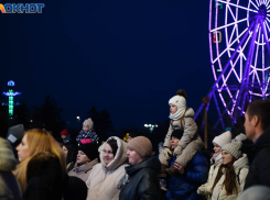 Бесплатные шаттлы хотят запустить до ЦПКиО в Волгограде 