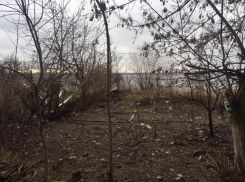  Бывший вице-мэр Волгограда признался в любви к весне