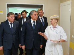 Вячеслав Володин не поверил волгоградскому губернатору на слово