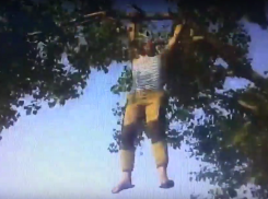 Волгоградский рыбак рухнул вместе с деревом при попытке достать застрявшую в кроне блесну