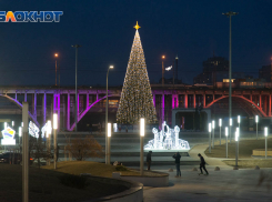 Красавица-елка в пойме реки Царицы попала в объектив фотографа