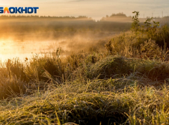 Волгоградцы оказались во власти гололеда